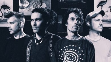Echoes of Zoo