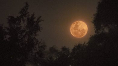 Moonrise over Thornbury (photo credit Garry Havrillay)
