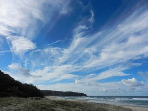 Noosa Heads National Park - photo c Garry Havrillay