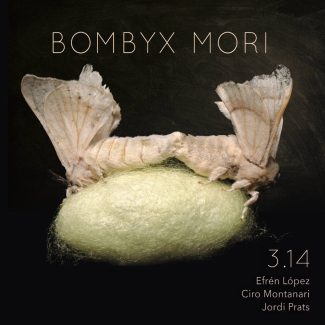 3.14 - Bombyx Mori